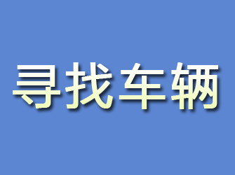 定安寻找车辆