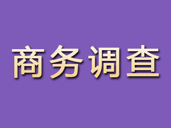 定安商务调查